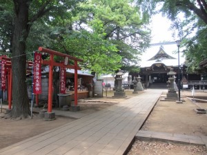 fefefefefefeffeffgggggg